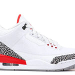 JORDAN 3 RETRO HALL OF FAME