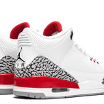 JORDAN 3 RETRO HALL OF FAME